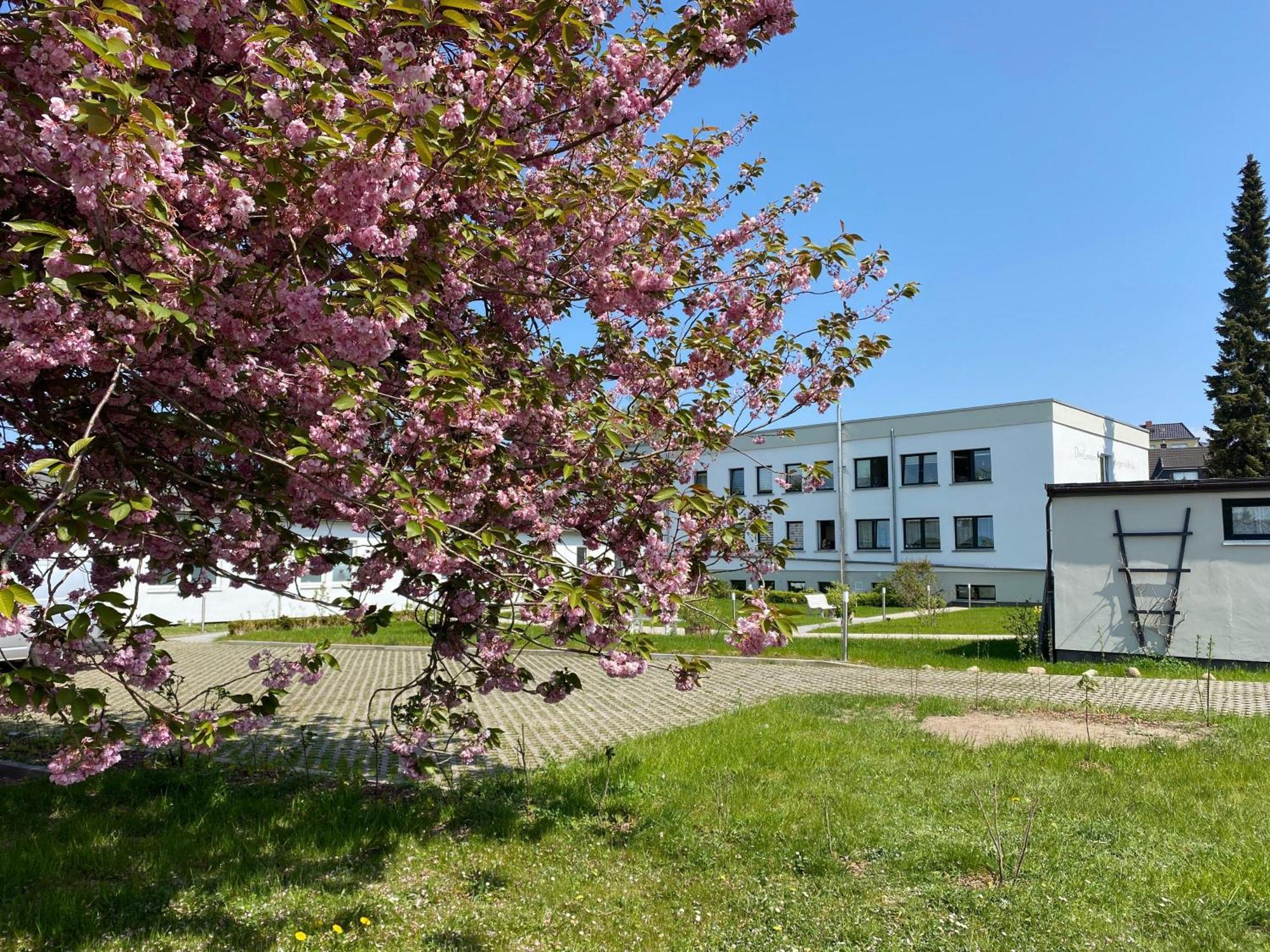 Apartment-ferientiet Bergen Auf Rugen